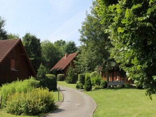Parc de vacances Brakel Environnement 4