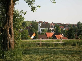 Parc de vacances Brakel Environnement 7