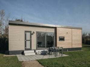 Parc de vacances Chalet moderne avec lave-vaisselle, situé à 1 km de Domburg - Dombourg - image1