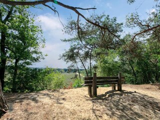 Vakantiepark Uden Omgeving 20