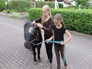 Ferienpark Brakel  17