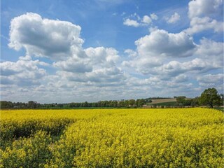 Vakantiepark Brakel Omgeving 14
