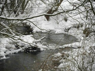 Parc de vacances Brakel Environnement 12