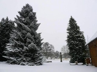 Parc de vacances Brakel Environnement 22