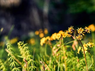 Ferienpark Bodenmais Außenaufnahme 8