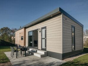 Parc de vacances Chalet moderne avec sauna à Domburg - Dombourg - image1