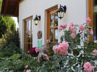 Parco vacanze Brakel  33