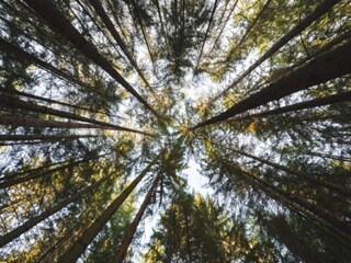 Parque de vacaciones Brakel Entorno 15