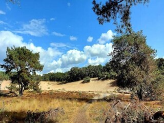Parc de vacances Uden Environnement 9