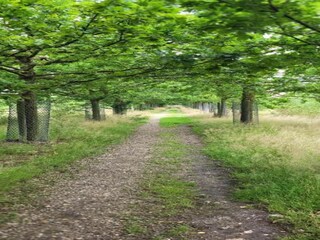 Parc de vacances Uden Environnement 8