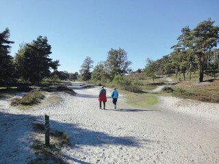 Parc de vacances Brunssum Environnement 21