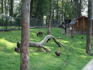 Parc de vacances Brunssum  26