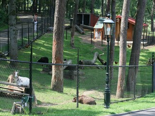 Parc de vacances Brunssum  40