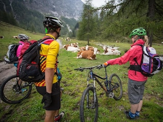 Appartamento Flachau Ambiente 12