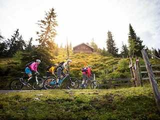 Appartamento Flachau Ambiente 11