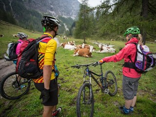 Appartamento Flachau Ambiente 12