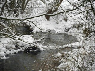 Vakantiepark Brakel Omgeving 20