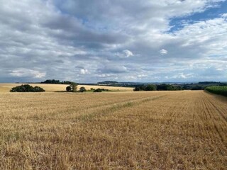 Vakantiepark Brakel Omgeving 8