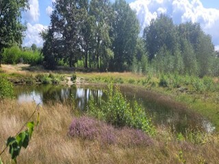 Parco vacanze Uden Ambiente 21