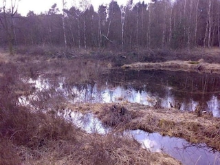 Ferienpark Uden Umgebung 30