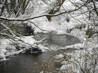 Parc de vacances Brakel Environnement 16
