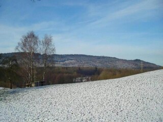 Vakantiepark Brakel Omgeving 14