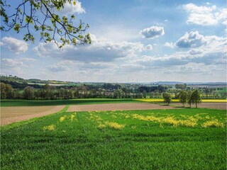 Ferienpark Brakel Umgebung 11