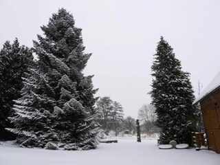 Parc de vacances Brakel Environnement 15