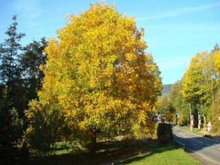 Parc de vacances Brakel Environnement 5