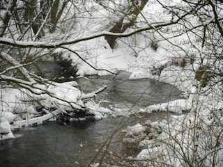 Ferienpark Brakel Umgebung 6