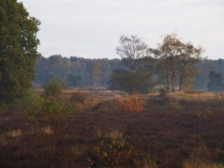 Vakantiepark Uden Omgeving 27