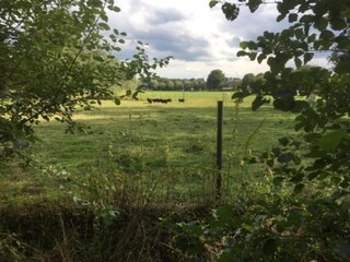 Parc de vacances Uden Environnement 25