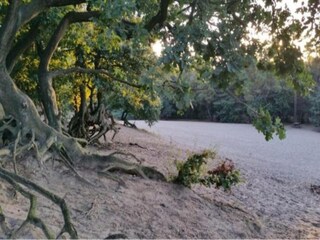 Vakantiepark Uden Omgeving 27