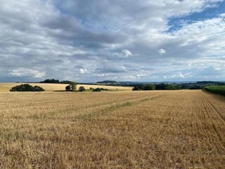 Holiday park Brakel Environment 30