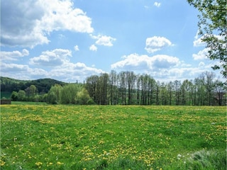 Vakantiepark Brakel Omgeving 18
