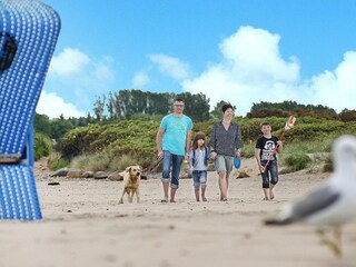 Ferienpark Damp Umgebung 16