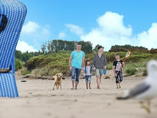 Vakantiepark Damp Omgeving 16