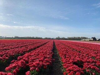 Vakantiepark Welt Omgeving 27