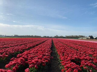 Ferienpark Welt Umgebung 18