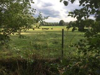 Vakantiepark Uden Omgeving 21