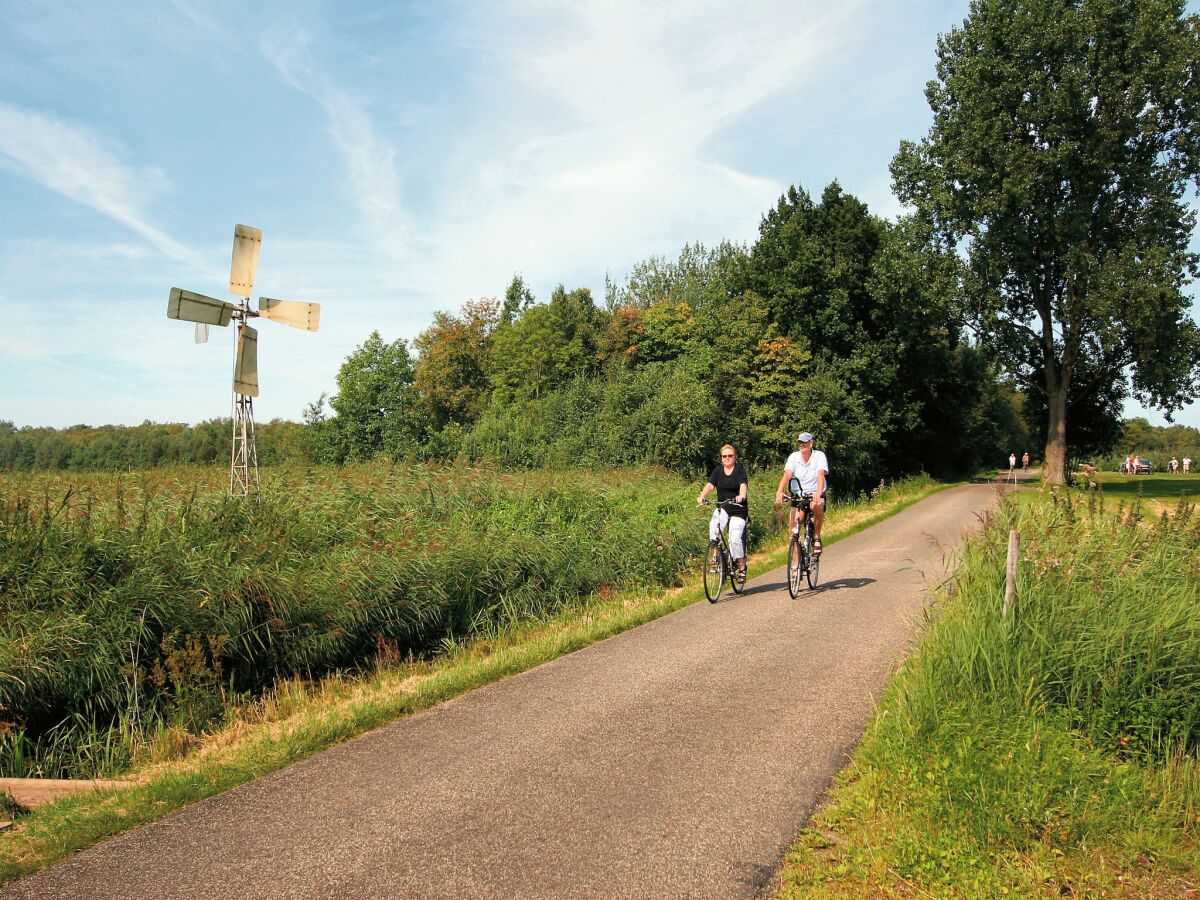 Ferienpark Hoge Hexel Umgebung 15