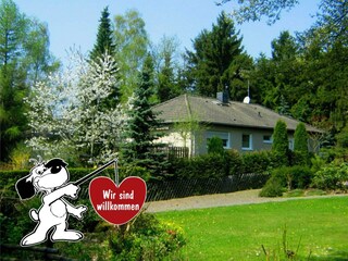 Appartement Diemelsee Buitenaudio-opname 6