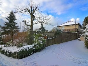 Appartement aan de Diemelsee bij Winterberg - Wijk Waldeck-Frankenberg (Sauerland) - image1