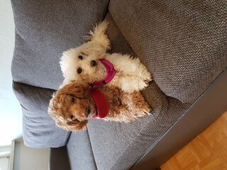 Appartamento Diemelsee  39