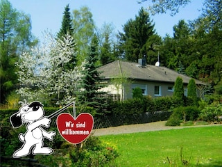 Appartement Diemelsee Buitenaudio-opname 1