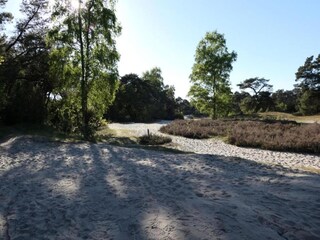 Parc de vacances Hoge Hexel Environnement 19