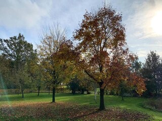 Parco vacanze Hoge Hexel Ambiente 9