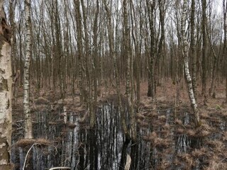 Parc de vacances Hoge Hexel Environnement 7