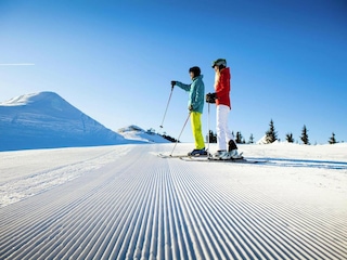 Ferienhaus Großarl Umgebung 21