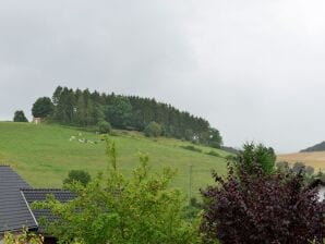 Apartment Flat in Heringhausen with private terrace - County of Waldeck-Frankenberg (Sauerland) - image1